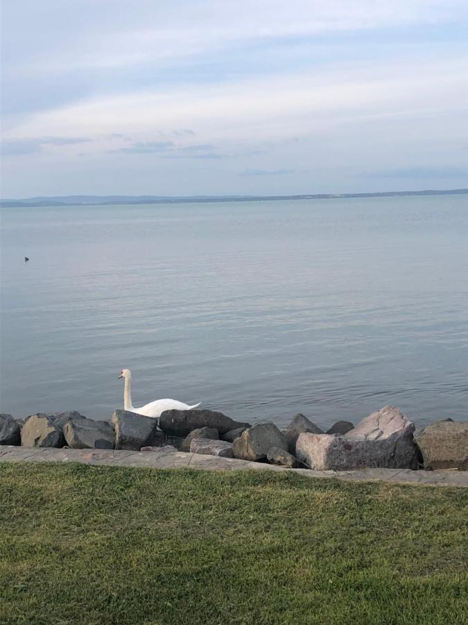 House For 6 Ppl At Lake Balaton Siófok Eksteriør billede